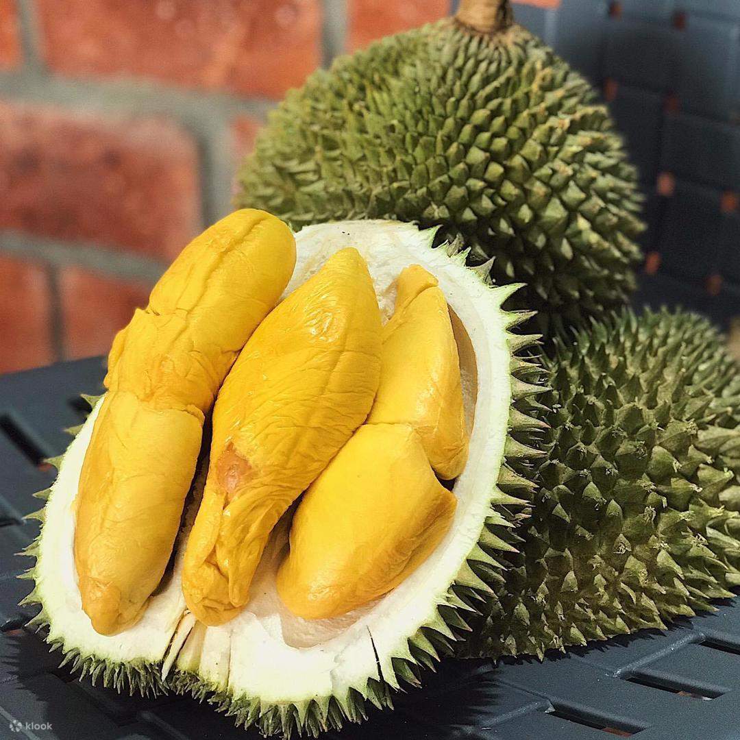 Durian Hours Delivery in Klang Valley Klook United States US